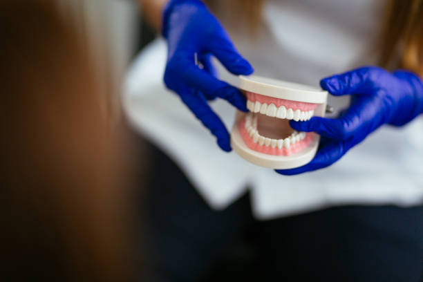 Best Pediatric Dentistry  in Ferry Pass, FL