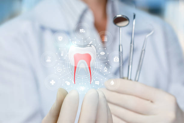 Best Dental Exams and Cleanings  in Ferry Pass, FL