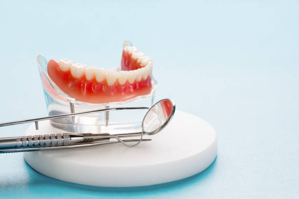 Best Invisalign and Clear Aligners  in Ferry Pass, FL